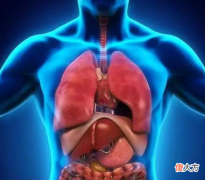 儿童生物学关于人体的十条小常识