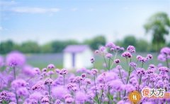 感情世界|和对象聊天话题大全,情侣谈恋爱的聊天话题!