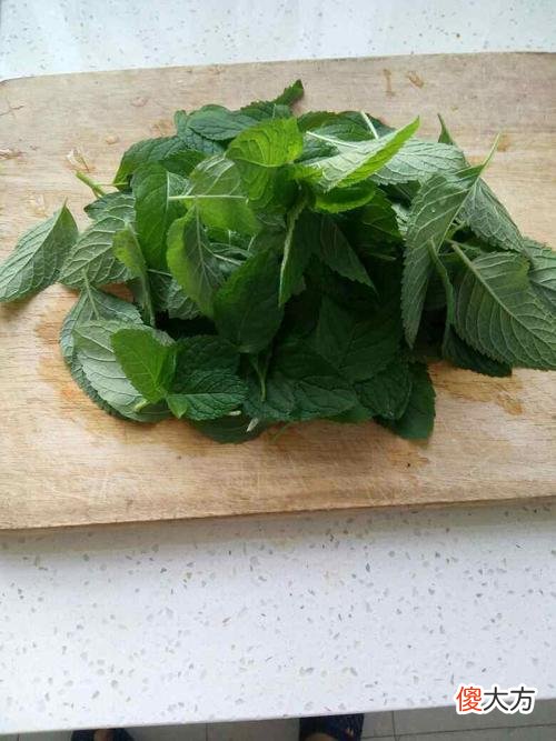 薄荷怎么吃