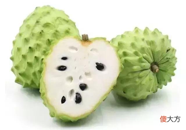 番荔枝怎么吃 番荔枝怎么吃图解法