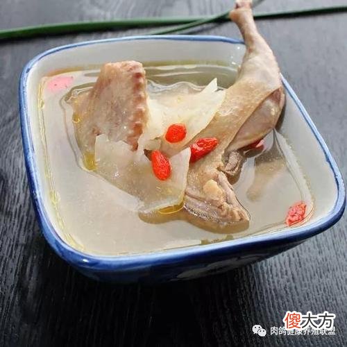 鸽子怎么炖汤好喝又营养 鸽子汤怎么炖最有营养