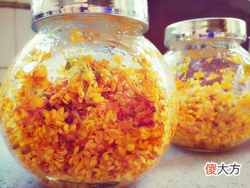 桂花蜜 桂花蜜文章