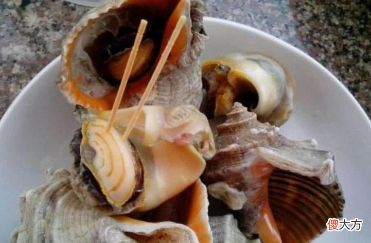 海螺怎么吃