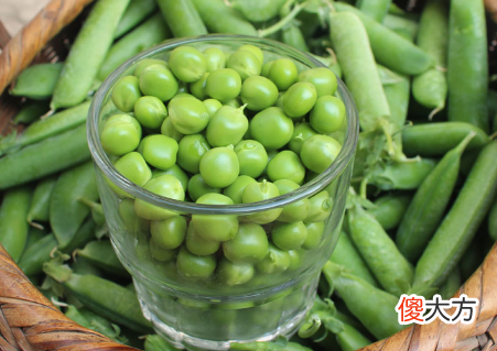 青豆