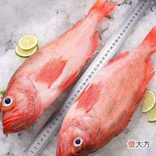 长寿鱼